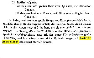 Zacharias, O (1885): Zeitschrift für wissenschaftliche Zoologie 41 p.229